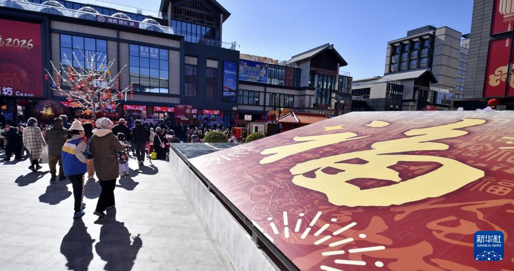 市集胡同里感受北京年味 市集胡同里感受北京年味