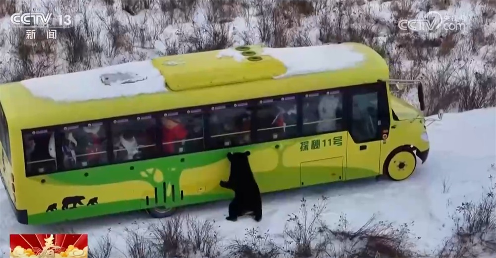 登高祈福、庙会添彩、打卡阳光……“文旅新亮点+消费新热点”释放假日经济活力