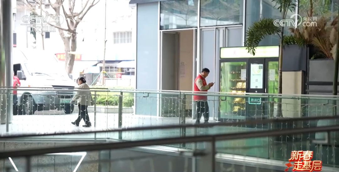 运行1300多天，发放超50万份！深圳“食物银行”如何打造城市温暖底色？