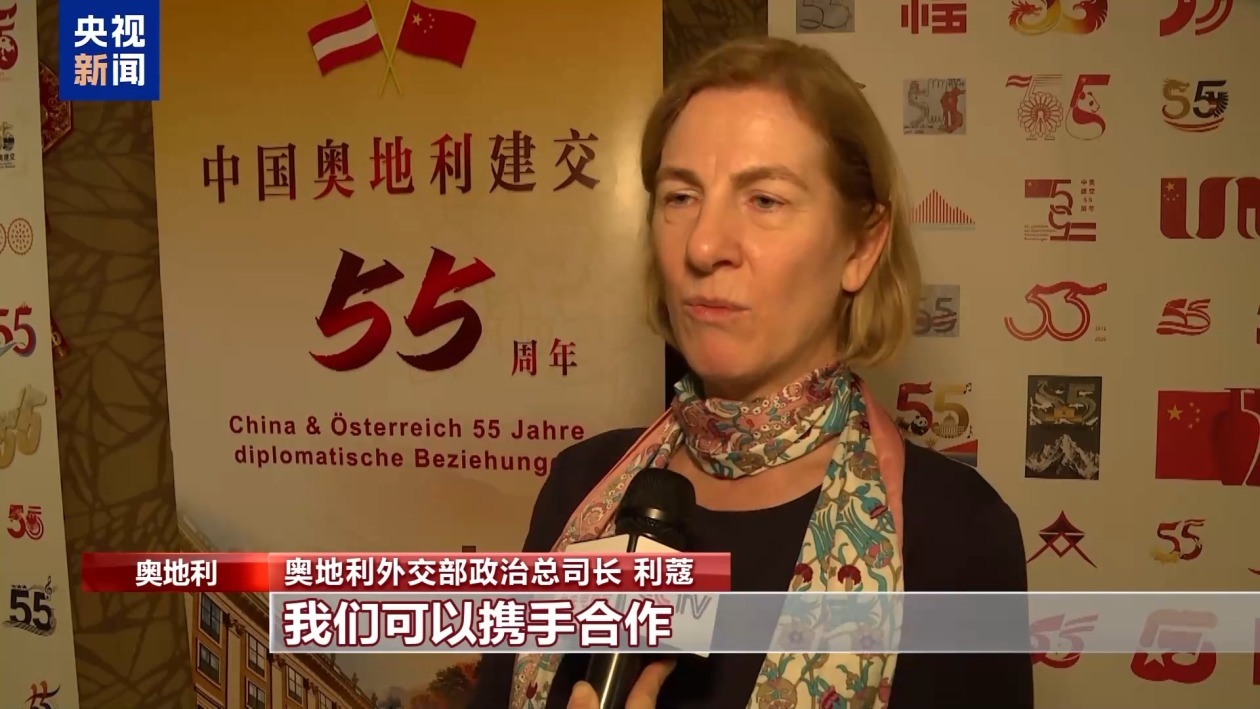 中国驻多国使领馆举办活动 共贺马年新春