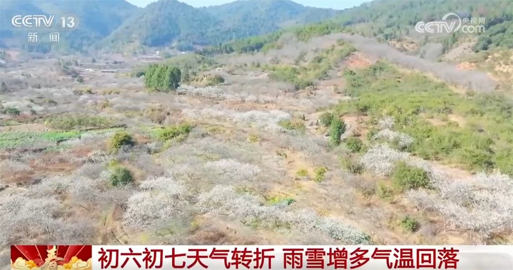 春日“鲜”滋味将“春天”盛到“碗”里来 舌尖美味满满团圆年味