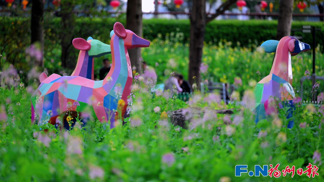 彩色油菜花!2.8万平方米盛放!福州花海公园锁住春日浪漫 彩色油菜花!2.8万平方米盛放!福州花海公园锁住春日浪漫