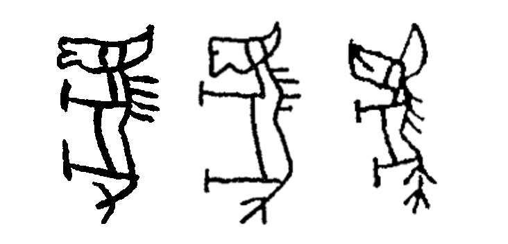 甲骨文里的“马”,长啥样? 甲骨文里的“马”,长啥样?