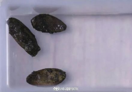 为什么中国人过年爱嗑瓜子