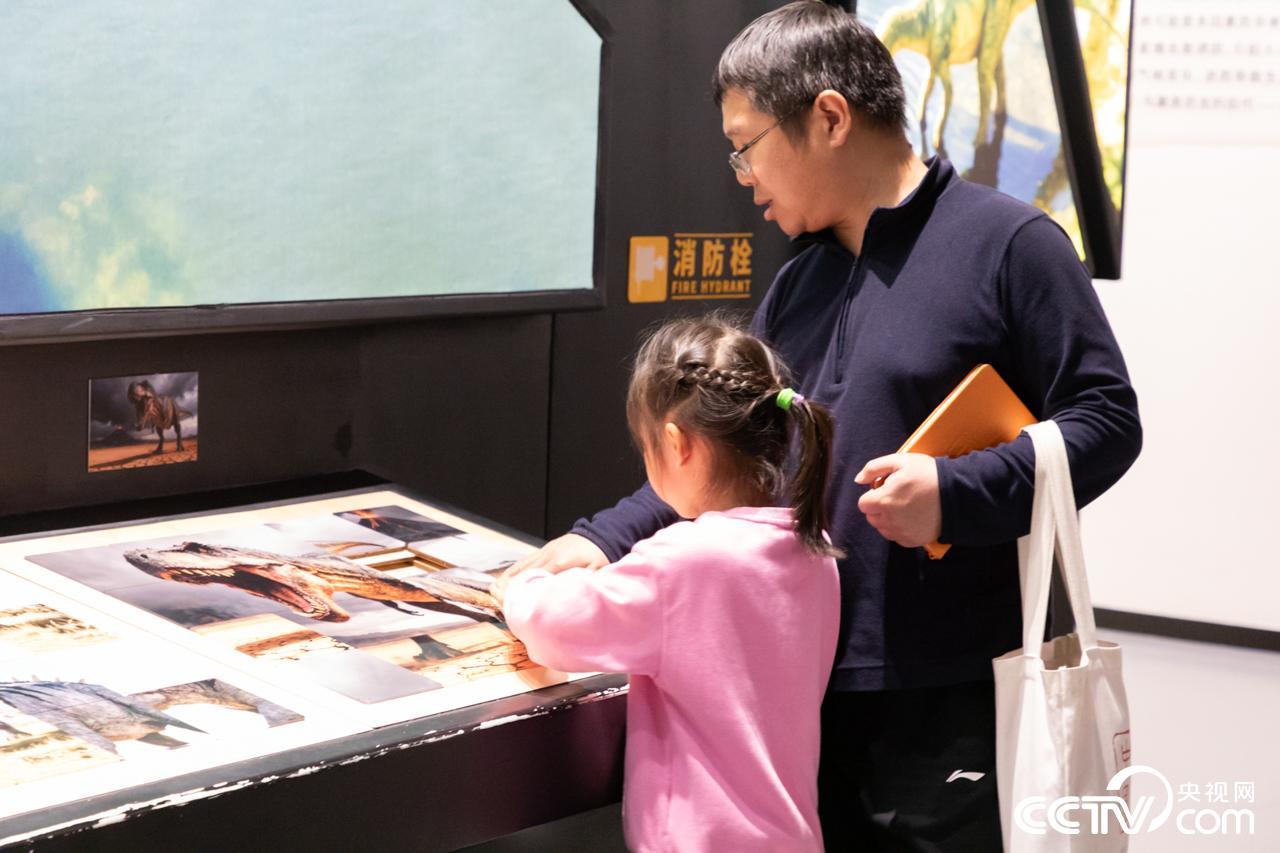 博物馆里过大年 福建博物院春节文旅热潮涌动 博物馆里过大年 福建博物院春节文旅热潮涌动