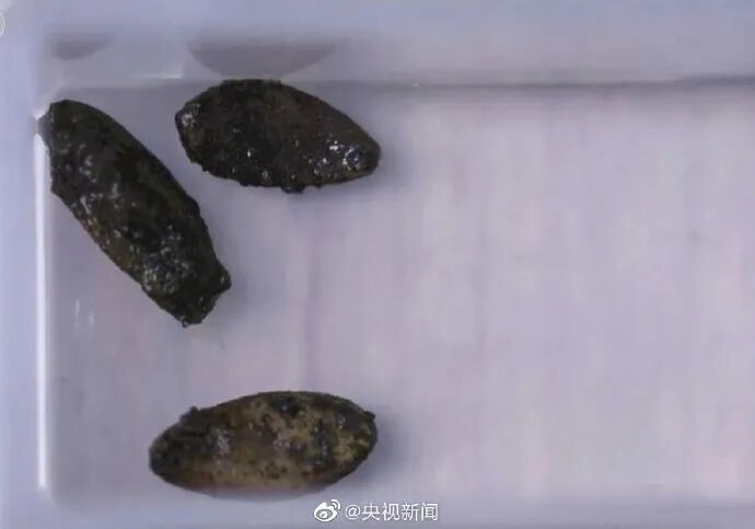 为什么中国人过年总爱“嗑”瓜子?