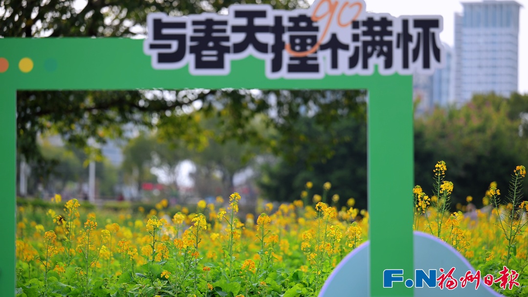 彩色油菜花!2.8万平方米盛放!福州花海公园锁住春日浪漫 彩色油菜花!2.8万平方米盛放!福州花海公园锁住春日浪漫