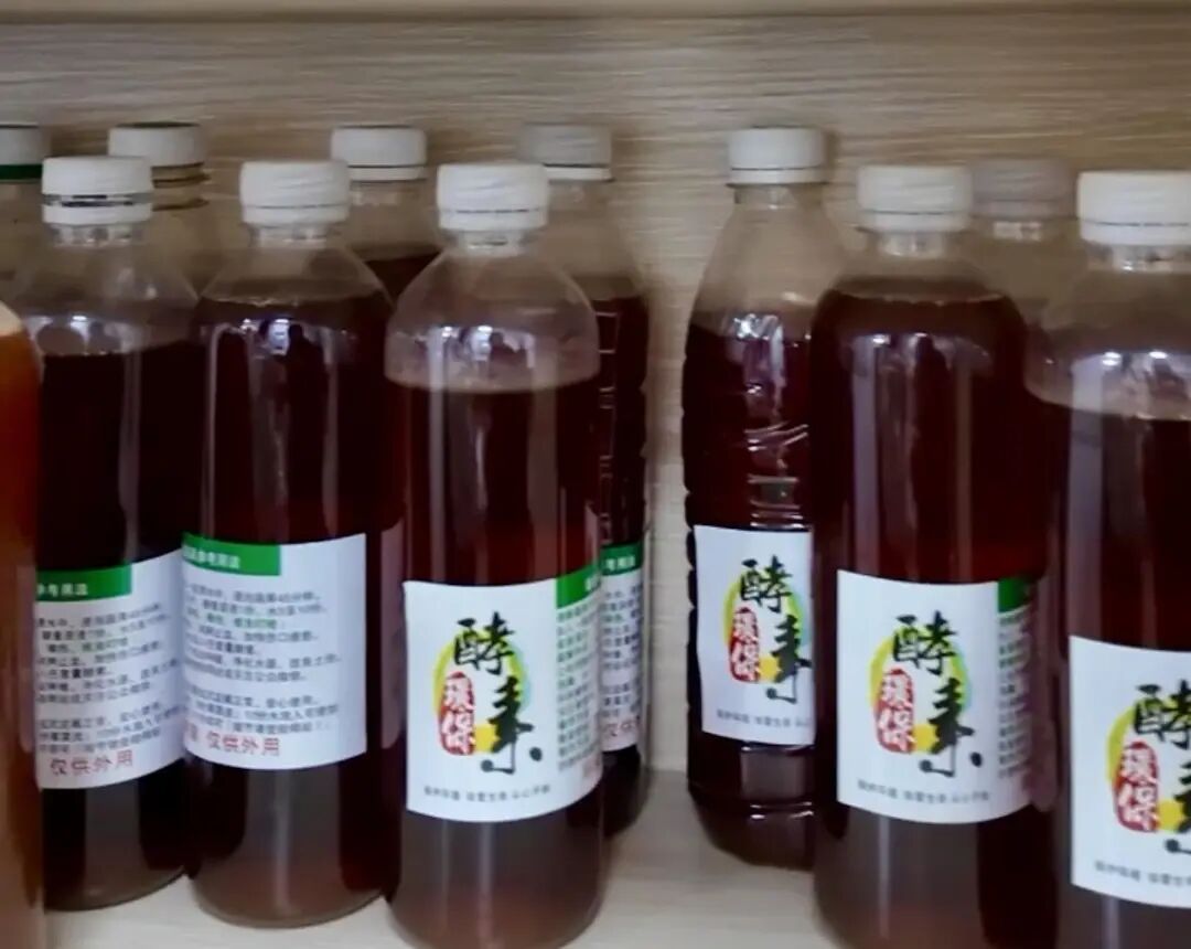 “过气”年花别乱丢弃！这样做秒变新绿意