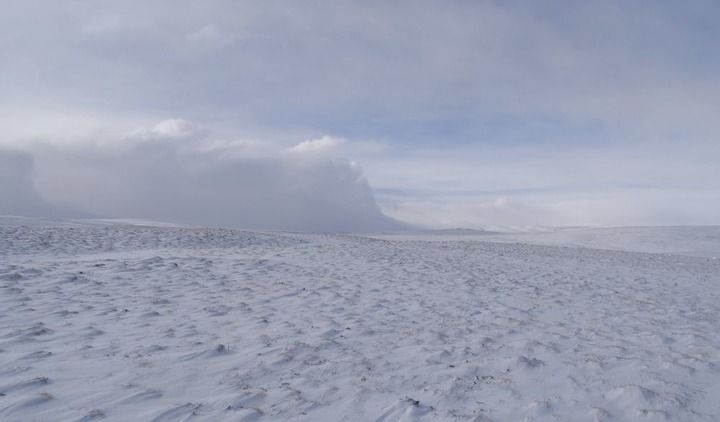 此心长留唐古拉 此心长留唐古拉