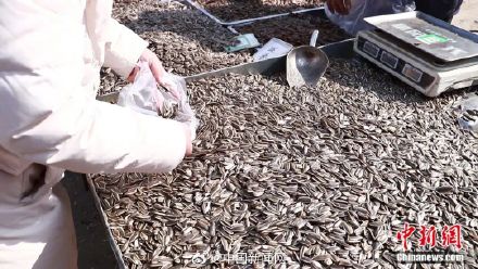 为什么中国人过年爱嗑瓜子