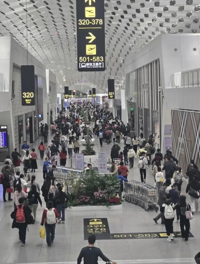 价格跳水!有人称一家四口亏了4000元,网友:都买早了 价格跳水!有人称一家四口亏了4000元,网友:都买早了