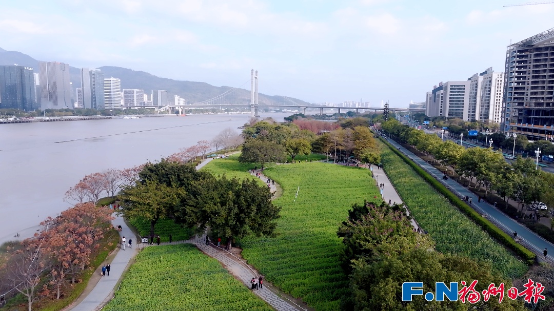 彩色油菜花!2.8万平方米盛放!福州花海公园锁住春日浪漫 彩色油菜花!2.8万平方米盛放!福州花海公园锁住春日浪漫