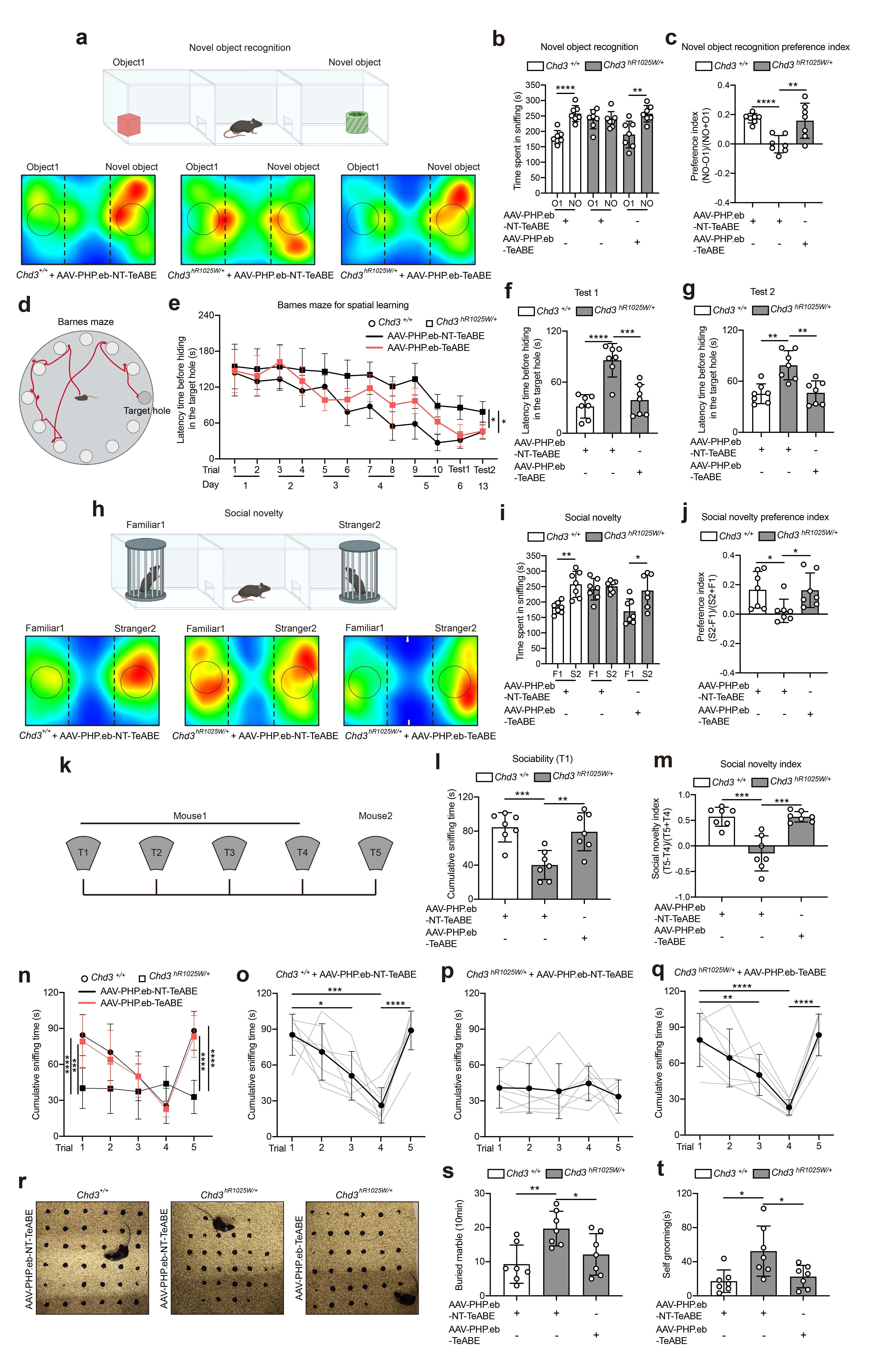 《自然》发表中国研究成果：修复大脑里一个“错字” 孤独症小鼠恢复了正常