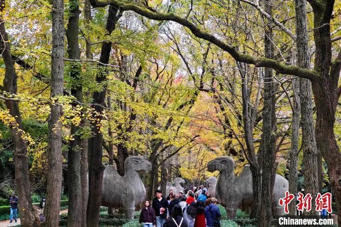 这是“神马路”?这些带“马”的地名都是什么来头 这是“神马路”?这些带“马”的地名都是什么来头