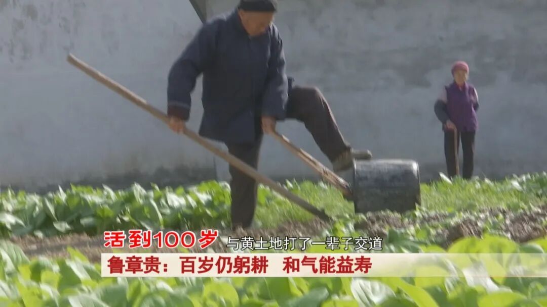 105岁老人挑水浇园不在话下！长寿秘诀就是两个字……