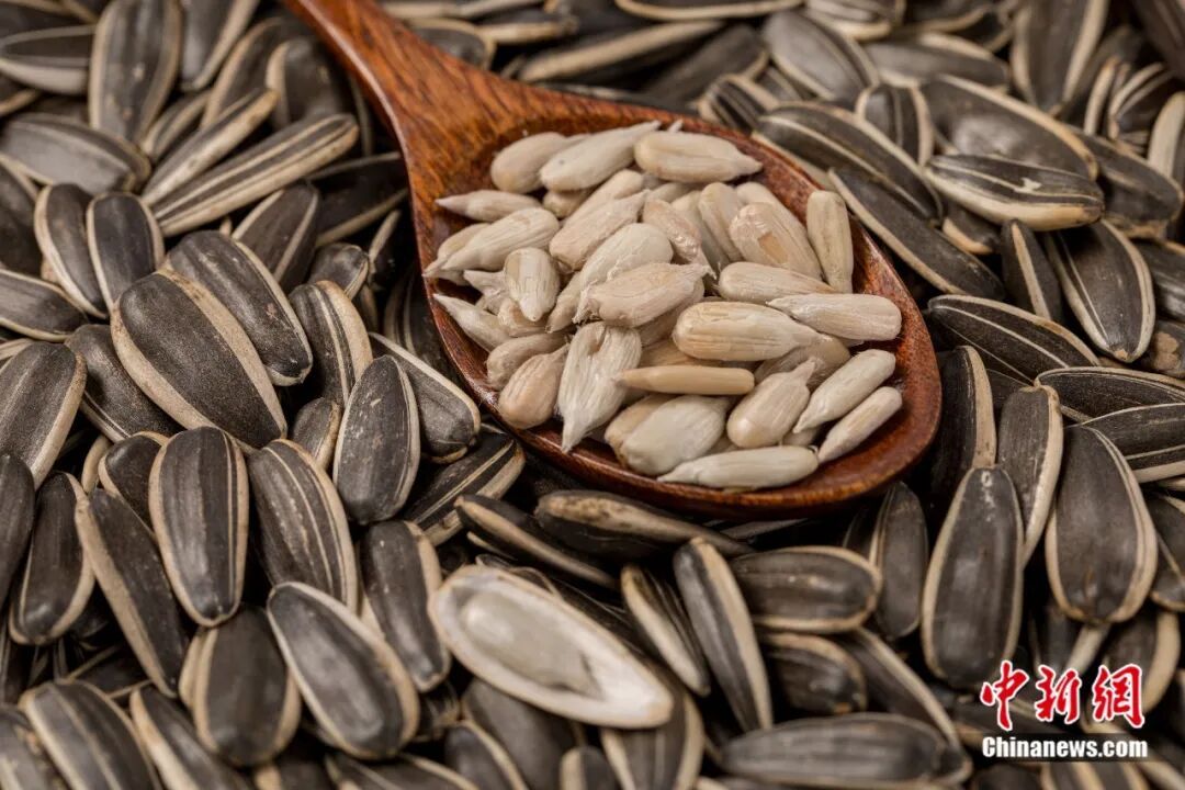 为什么中国人过年总爱“嗑”瓜子?