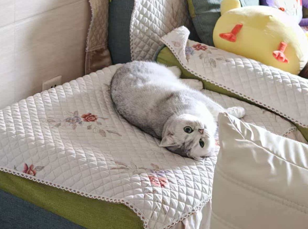 订单爆了!90后男生春节可赚16万元 订单爆了!90后男生春节可赚16万元