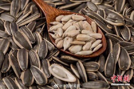 为什么中国人过年爱嗑瓜子