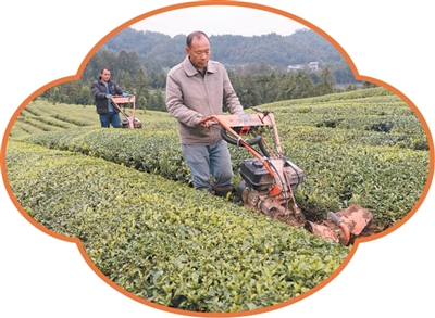 美丽乡村先行区生活怎么样？记者春节探访→