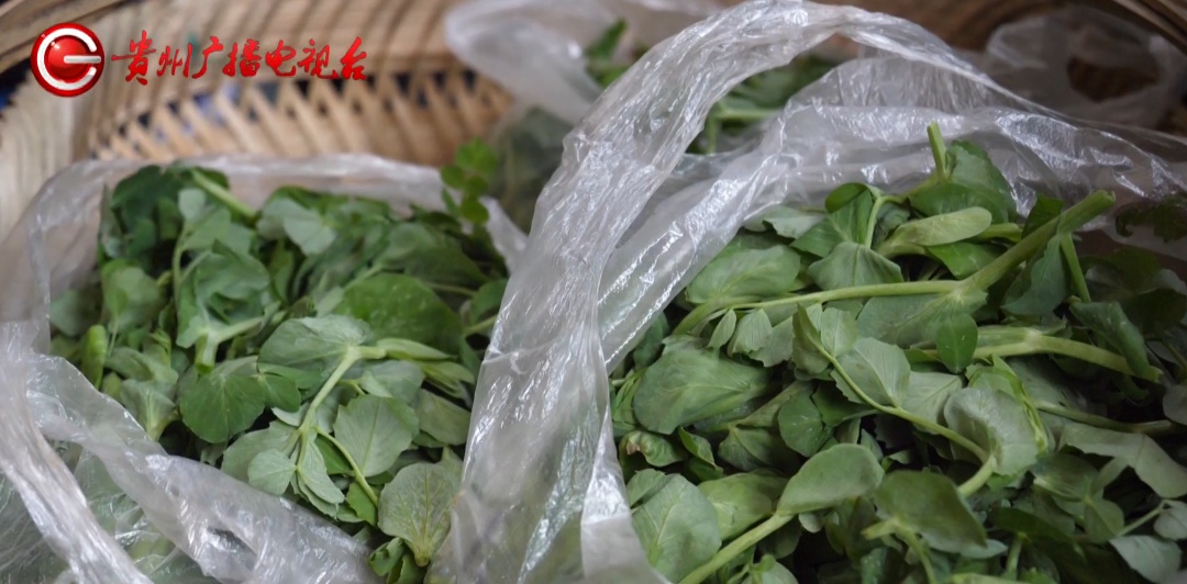 是火车也是超市!贵州这列“村”火车,即使车程7小时,沿途村民补票都要抢着上→ 是火车也是超市!贵州这列“村”火车,即使车程7小时,沿途村民补票都要抢着上→