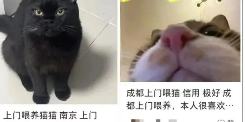 订单爆了!90后男生春节可赚16万元 订单爆了!90后男生春节可赚16万元