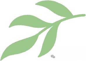 直冲24℃！南京天气又要大反转