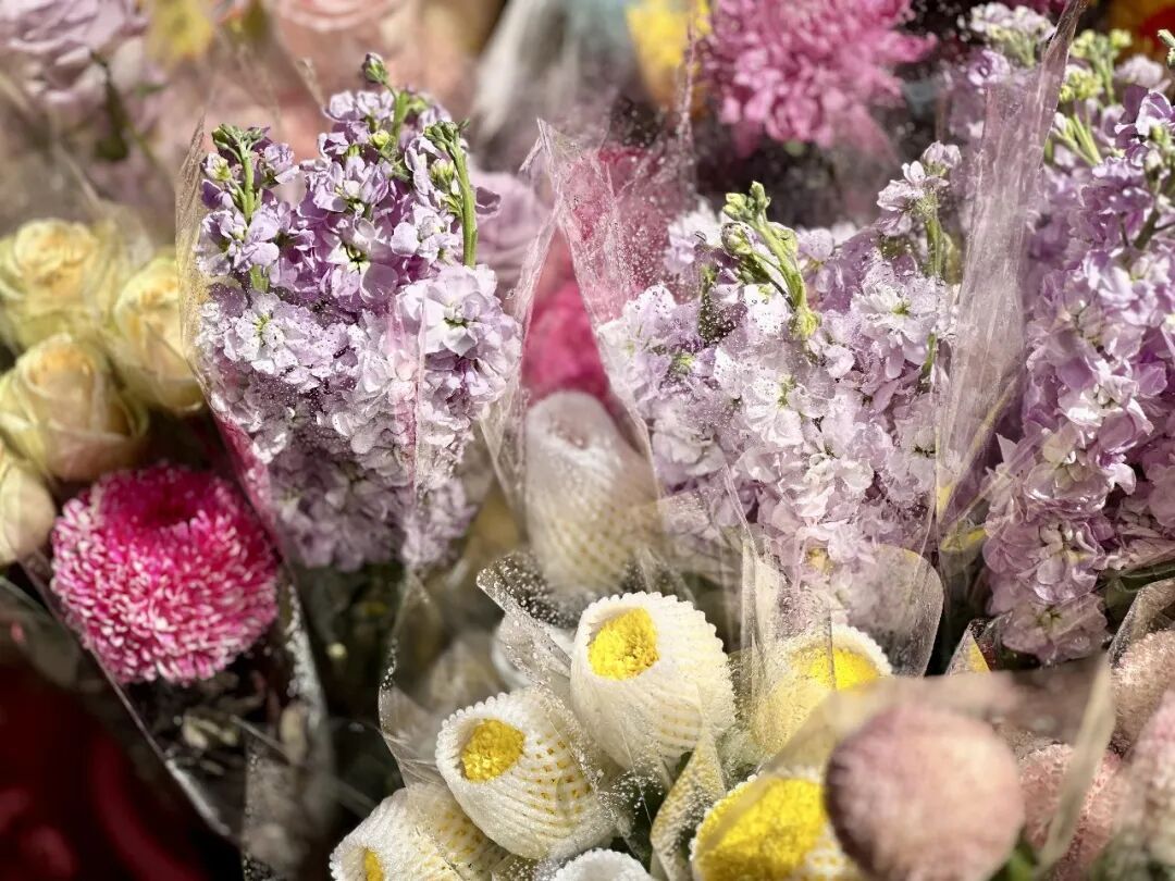 “过气”年花别乱丢弃！这样做秒变新绿意