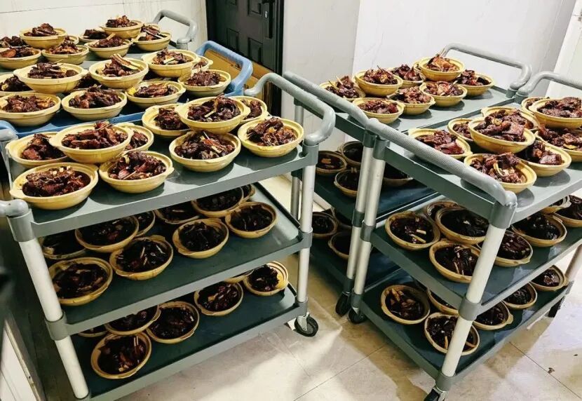 一天2000斤都不够卖!杭州这里忙得热火朝天,有人坐3小时的车赶来… 一天2000斤都不够卖!杭州这里忙得热火朝天,有人坐3小时的车赶来…