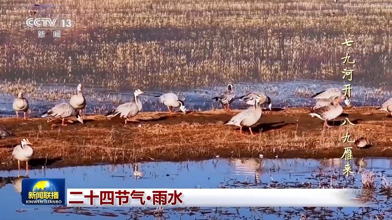 文化中国行丨二十四节气·雨水