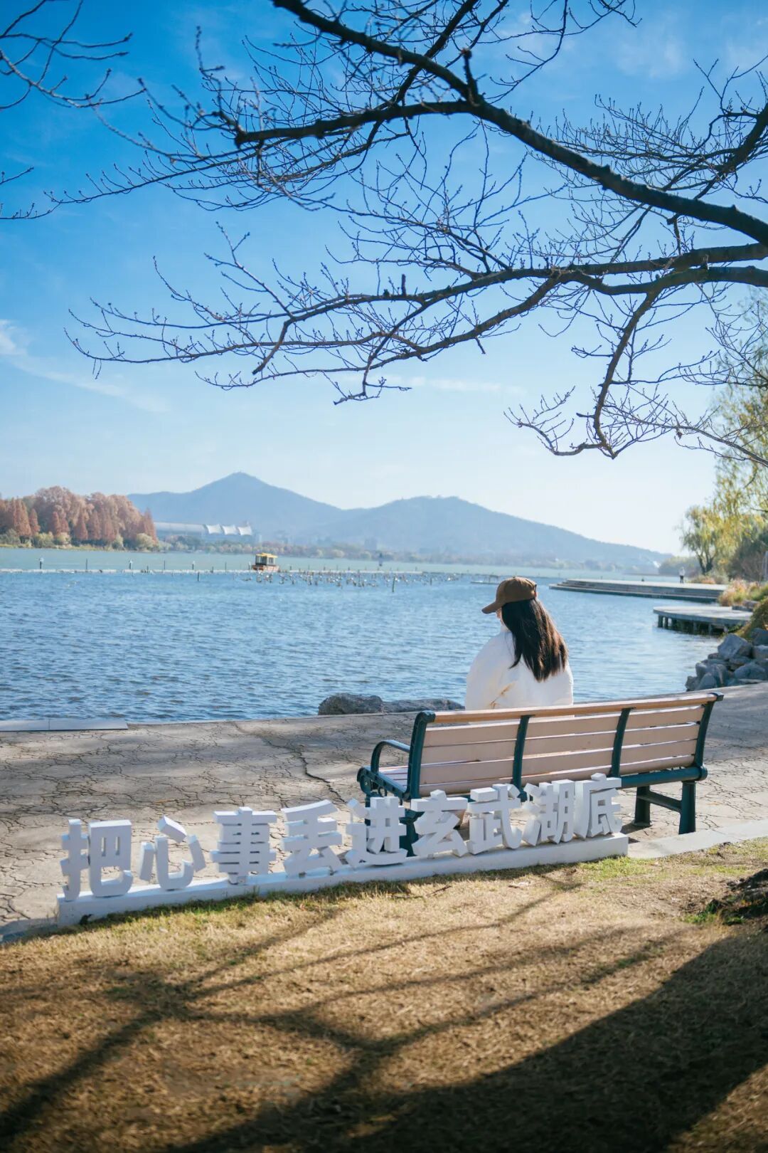 玄武湖这几棵树被人“盯”上了！