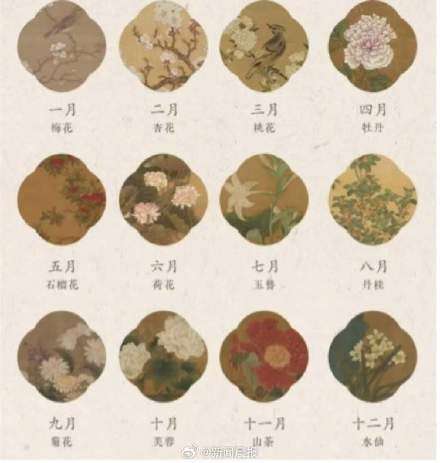 央视春晚十二花神中为何没牡丹，而是芍药？