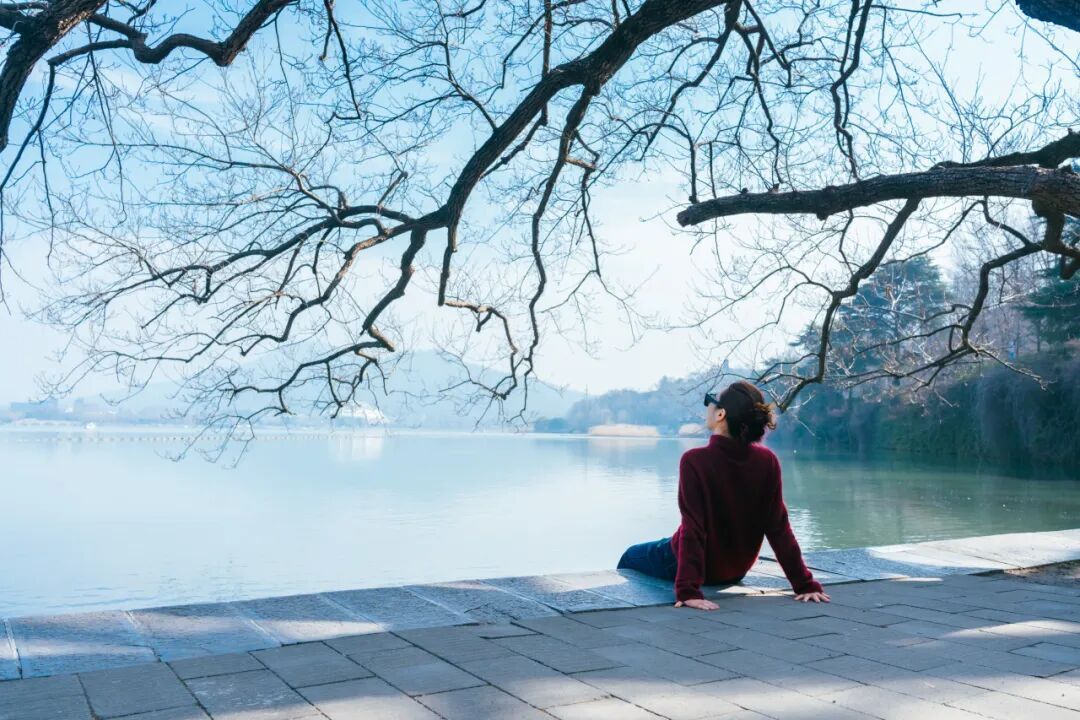 玄武湖这几棵树被人“盯”上了！