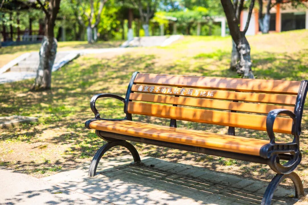 玄武湖这几棵树被人“盯”上了！