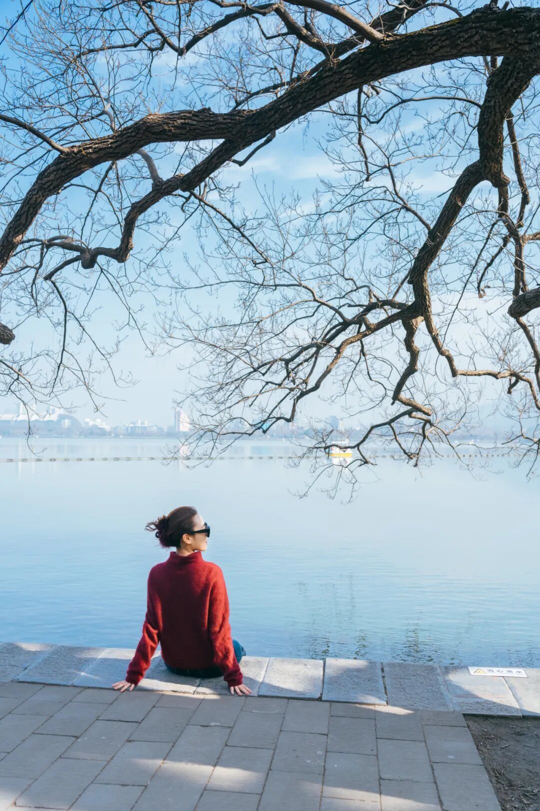 玄武湖这几棵树被人“盯”上了！