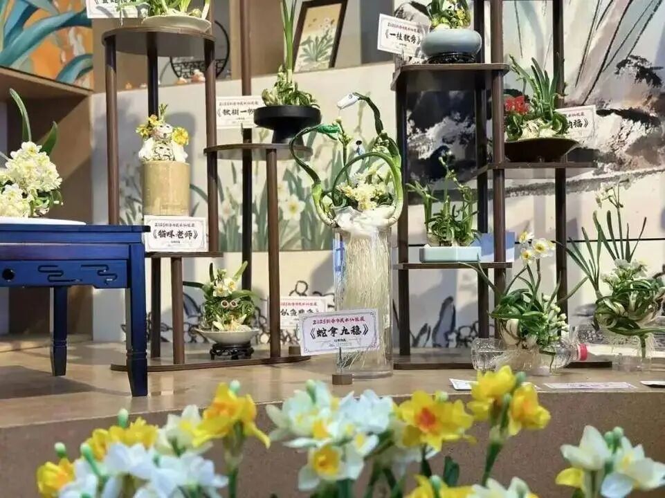 冲上23℃，明日气温近期最高！申城瀑布梅花已上线，春意“加载”100%