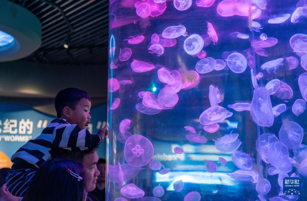 惠游新春拉动文旅消费 惠游新春拉动文旅消费