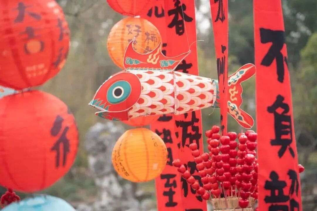 冲上23℃，明日气温近期最高！申城瀑布梅花已上线，春意“加载”100%