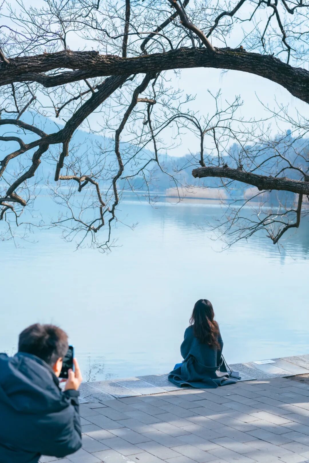 玄武湖这几棵树被人“盯”上了！