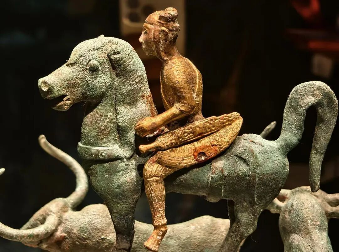 全是“重量级”！快来博物馆开启“寻马”之旅→