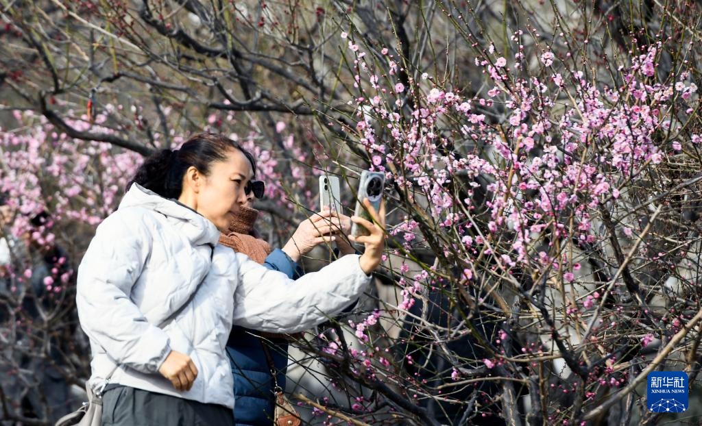 惠游新春拉动文旅消费 惠游新春拉动文旅消费