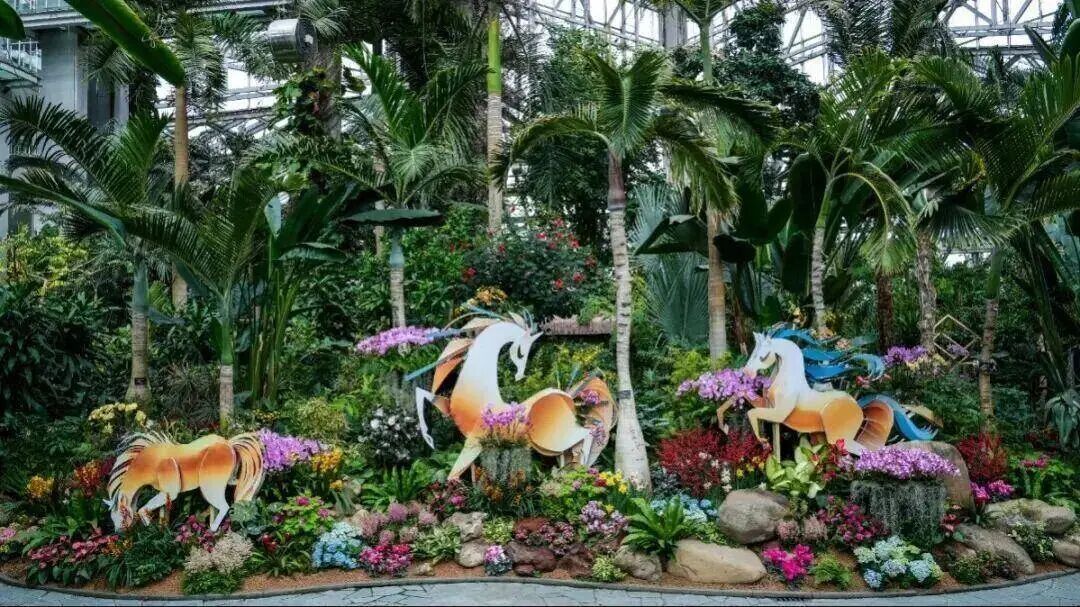 冲上23℃，明日气温近期最高！申城瀑布梅花已上线，春意“加载”100%