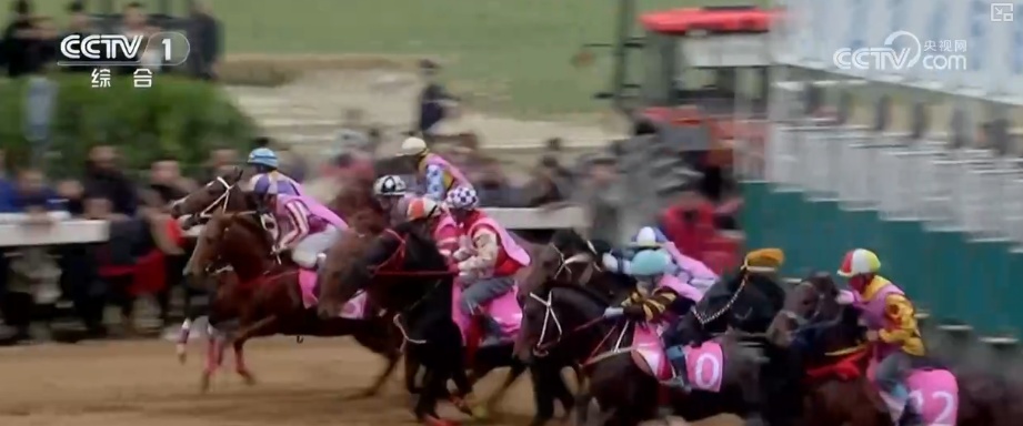 马年新春骏马奔腾启新程 传统马术越千年古老技艺焕发崭新光彩