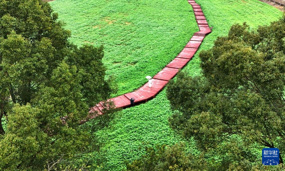 惠游新春拉动文旅消费 惠游新春拉动文旅消费