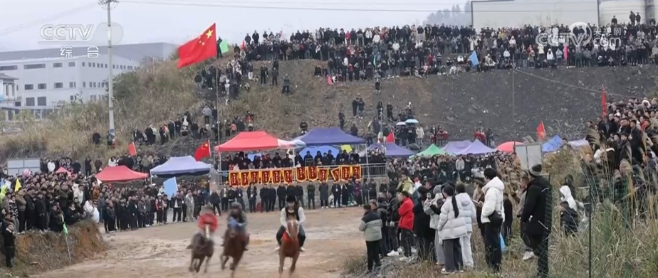 马年新春骏马奔腾启新程 传统马术越千年古老技艺焕发崭新光彩