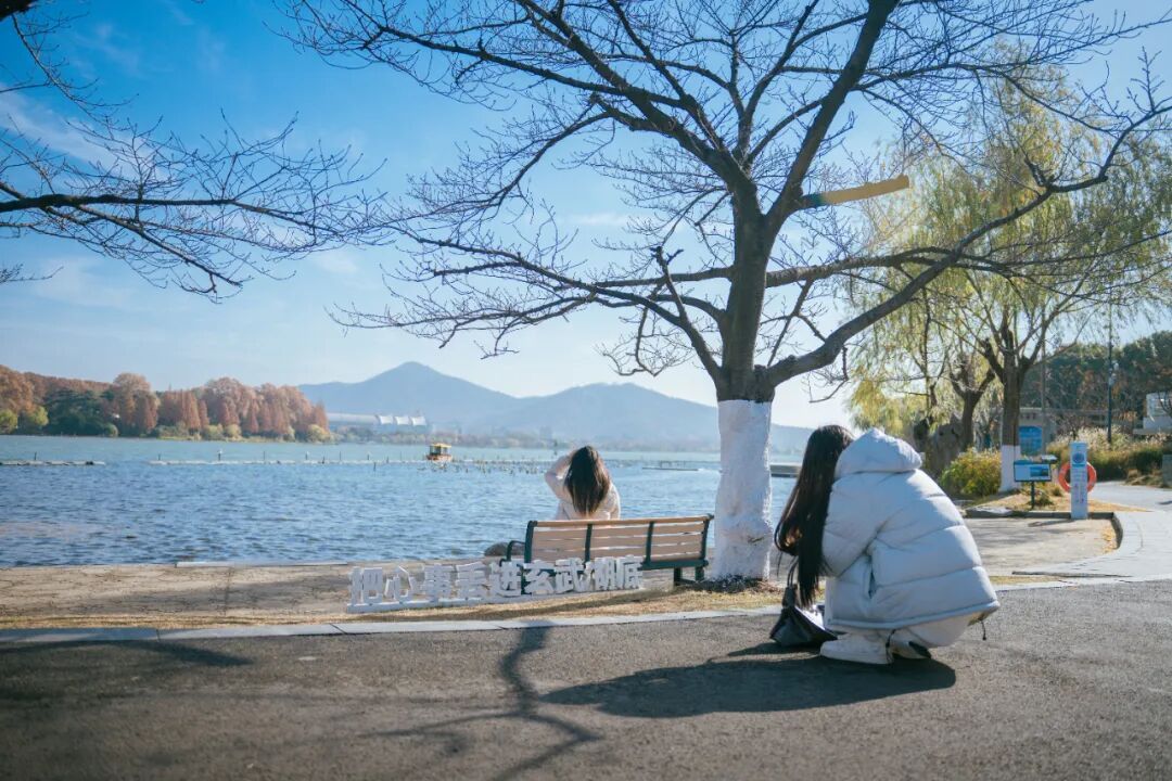 玄武湖这几棵树被人“盯”上了！