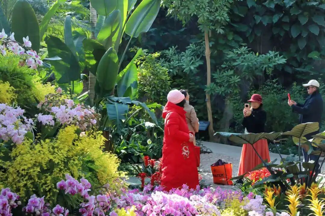 春节假期第五天，北京65.68万人次“日间赏景、夜间游园”