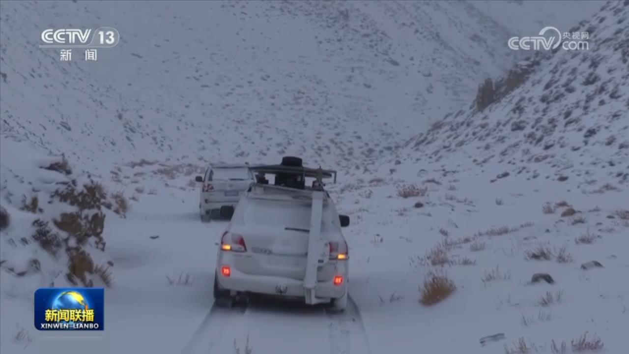 【新春走基层】为了不失联的信号