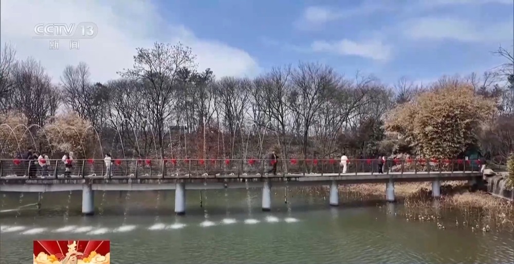 “年俗文化+科技”，各地举办特色活动感受别样年味儿