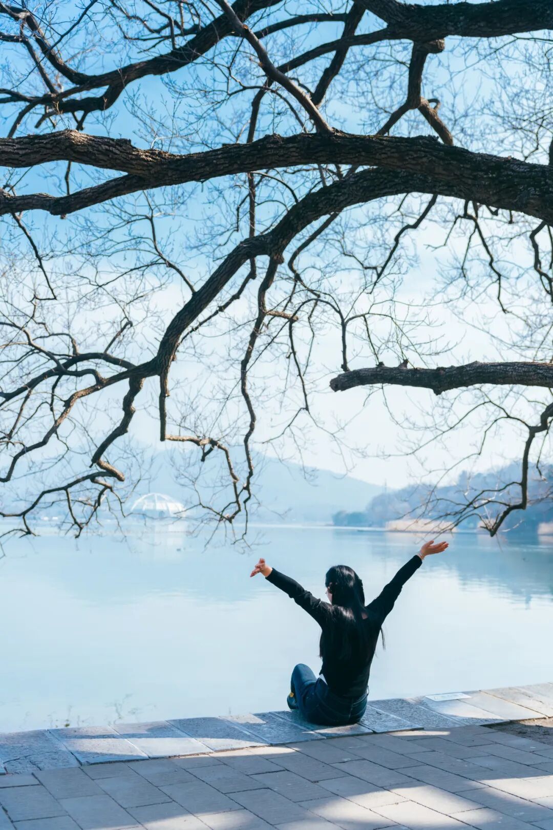 玄武湖这几棵树被人“盯”上了！