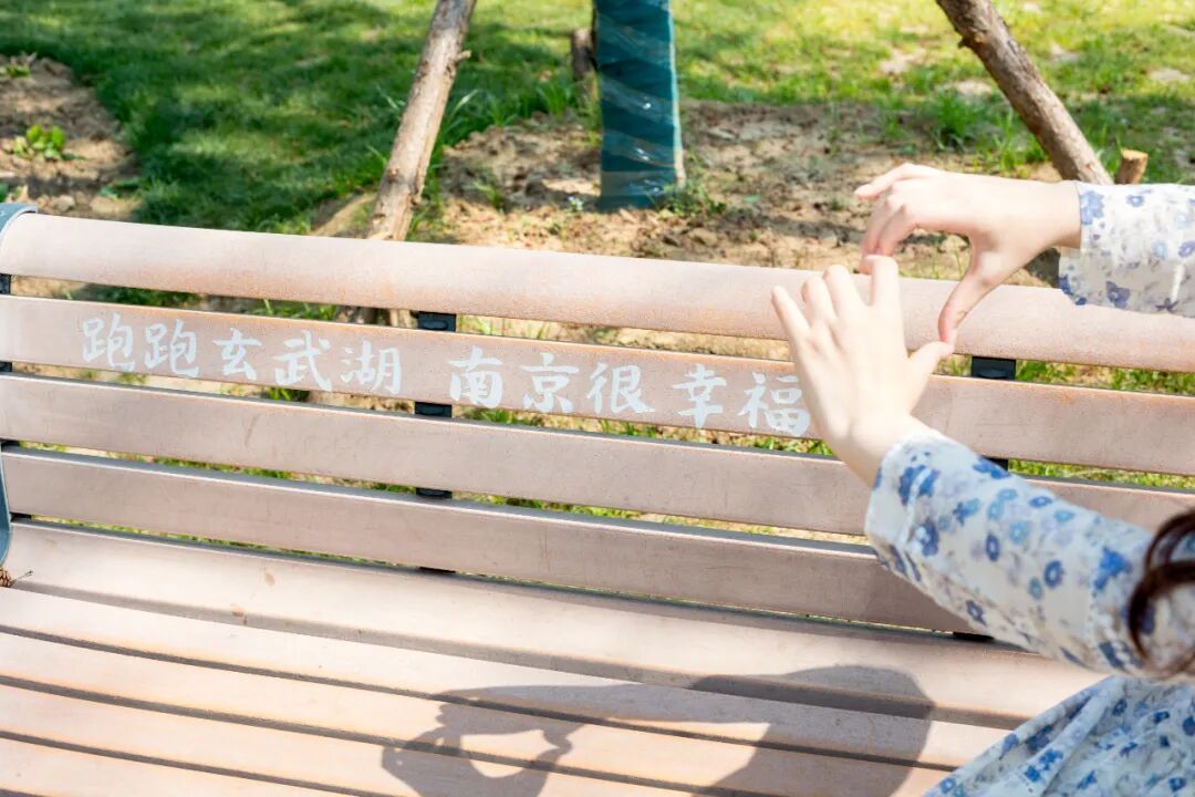 玄武湖这几棵树被人“盯”上了！